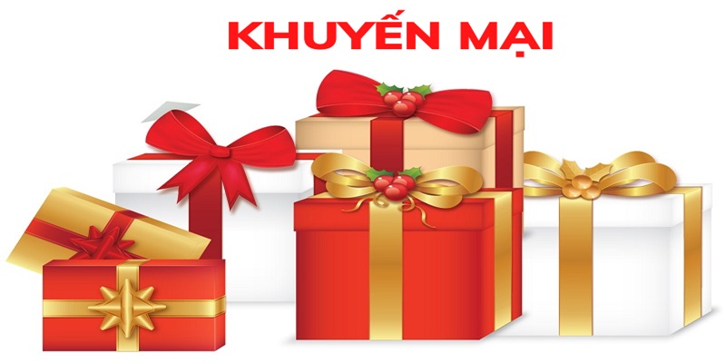 Những ưu đãi của nhà cái dành cho người lâu năm