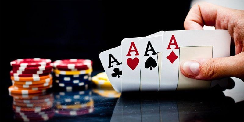 Lợi ích tuyệt vời của tới trắng tiến lên miền Nam